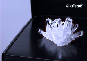 Space Age Crystals® - Item 644: Grow "Quartz"